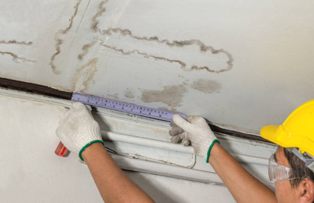 Reliable Water Damage Restoration contractor in Cosmopolis, WA by Water Damage Irwin